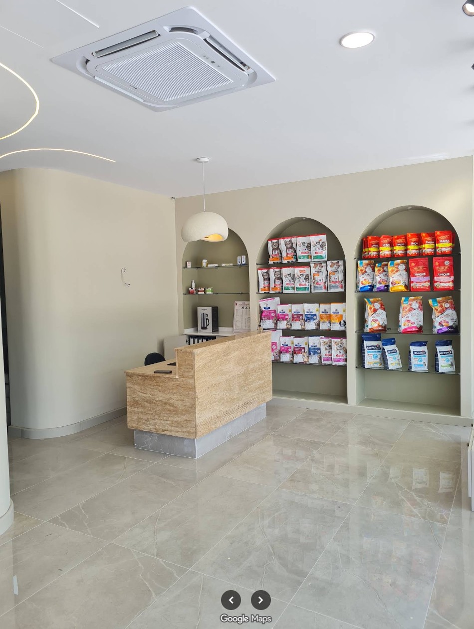 Vetzone kliniğinin açık taş tonlu danışma alanı ve kemerli rafları
