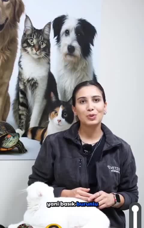 Çağla Şahin'in basık burunlu dostlarda burun ameliyatı paylaşımından bir kare